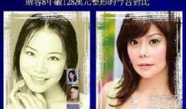 台湾节目爆料整容视频,揭秘明星整形真相